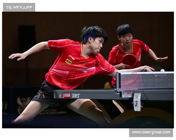 2017年中国乒乓球国内赛事巅峰对决精彩回顾