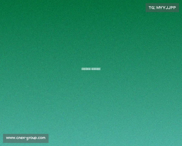 排球赛事新闻 排球赛事报道