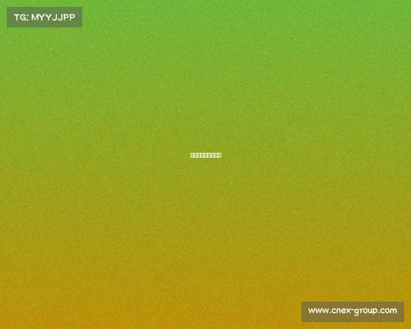 沙漠比赛叫什么名字