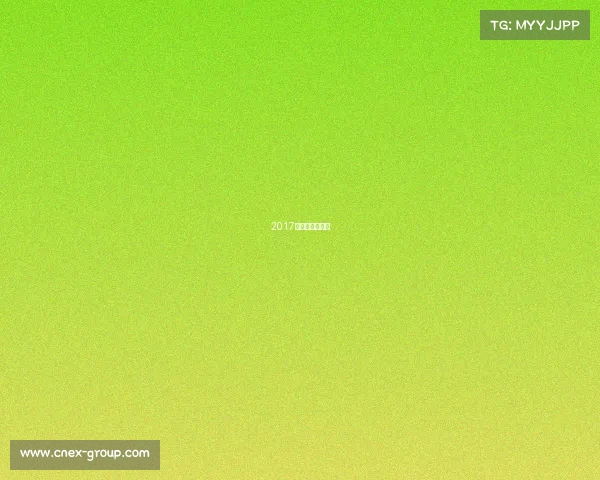 2017河南象棋锦标赛