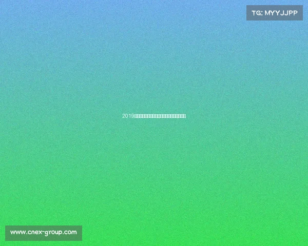 2019乒乓球盛事全景回顾荣耀时刻与精彩瞬间集锦