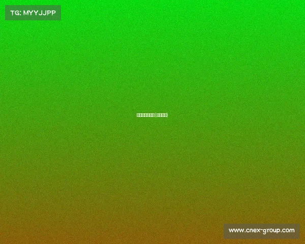 九球最重要赛事(九球比赛)